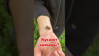 Постоянно кусают комары?