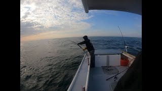 LONG FIGHT WITH MASSIVE MAINE BLUEFIN TUNA PAYS OFF!!!