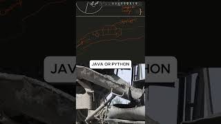 Java or Python