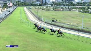 Hippisme : Suivez en direct la 1e course de la 4ème journée de course au Champ de Mars.