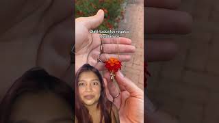 ​Este truco para llevar el martillo está en el 2050 ?️?