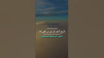 تلاوة ما تيسر من سورة الملك للشيخ أبو حذيفة ابو ناموس 