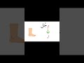 قصة حرف الراء 3 اكسبلور Learnarab Animation 