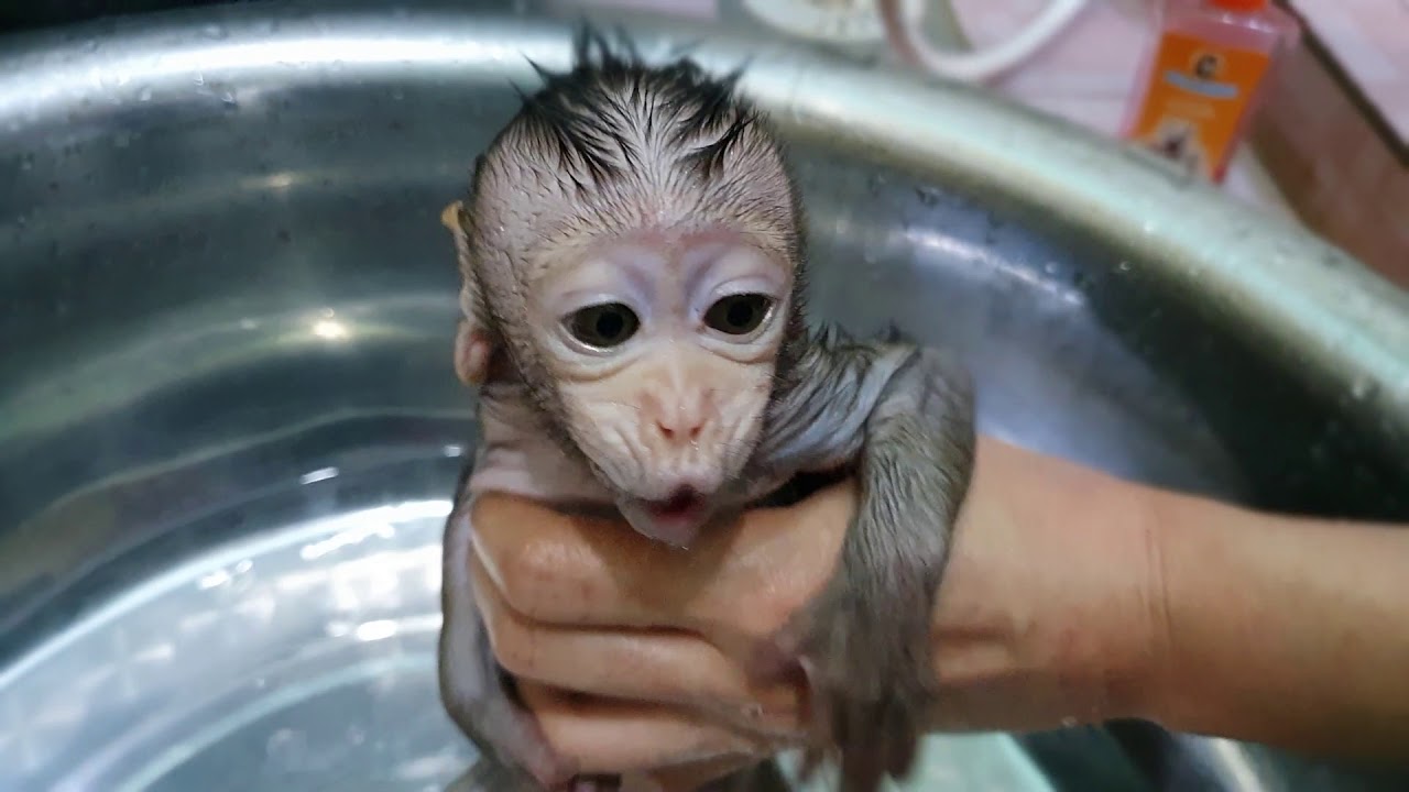 Baby Lori Cry Loud Too Afraid Cool Water | PLz...Don't Force Me Take A Bath Mom