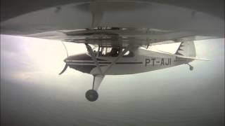 Piperpacer  PA20