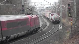 AKE Rheingold mit 193 601, Lokomotion 189 902 + 927 sowie 907 + 901, Grosskarolinenfeld 29.12.2023