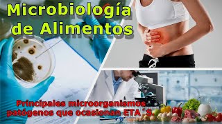 Microbiología de los alimentos y principales microorganismos patógenos que ocasionan ETA´S.