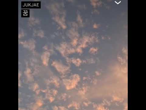 적재Jukjae - 꿈