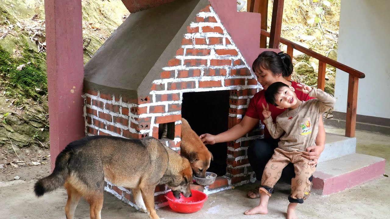 Building a Dog House with Red Bricks - Chúc Tòn Bình
