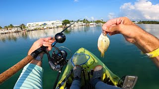 THIS DEAD BAIT Gets Smoked By Tarpon  Florida Keys Fishing