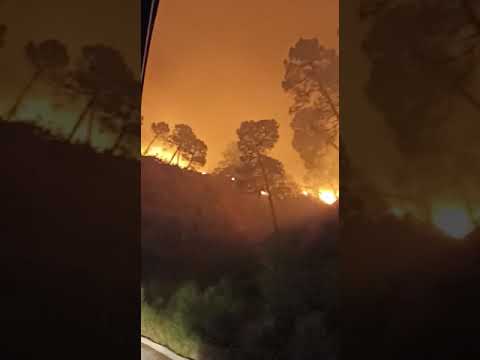 EXCLUSIVE: Footage from the wildfire raging through Sierra Bermeja above Spain's Costa del Sol.