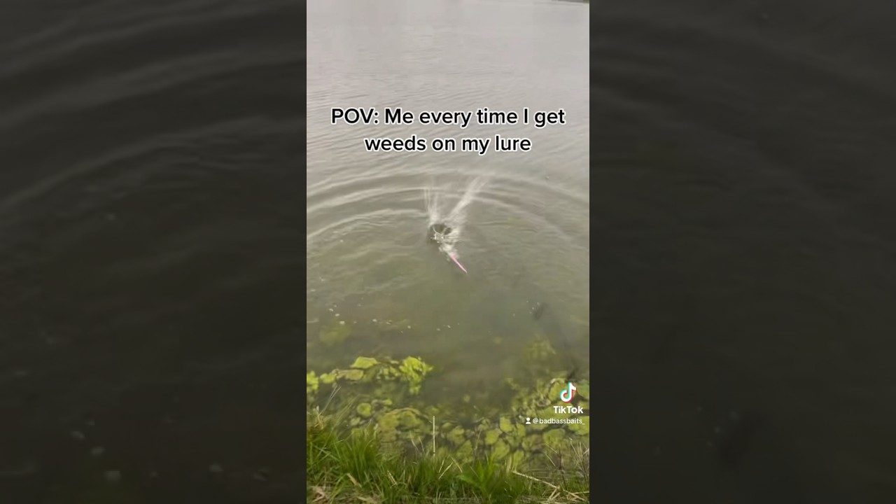 I do this all the time 