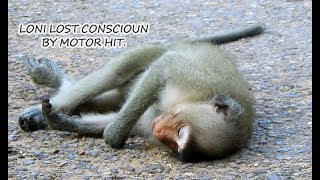 Million pity Loni has accident by motor hit | Loni lost conscious for a while.