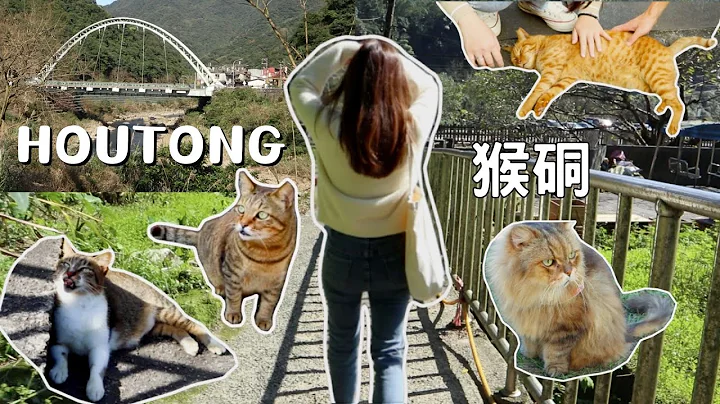 [猴硐猫村]  taiwan travel 猫奴绝对不要错过的世界级赏猫景点♡ 一次感受猫咪的各种魅力 ! #CNN推荐全世界六大赏猫景点 - 天天要闻
