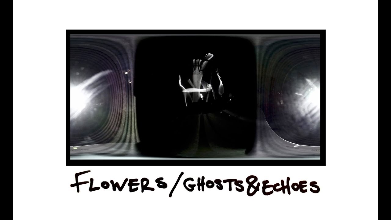 Flowers /Ghosts &Echoes - a moment