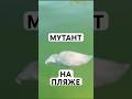ЧТО ЗА МЕРЗОСТЬ НА ПЛЯЖЕ?!