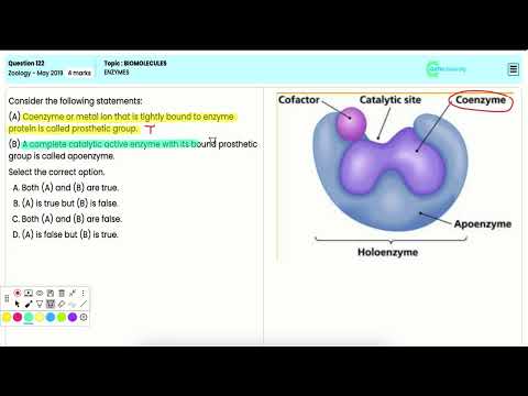 NEET 2019 | Biomolecules: Detailed Guide to Enzymes – Functions, Structure, and Mechanism (Q122)
