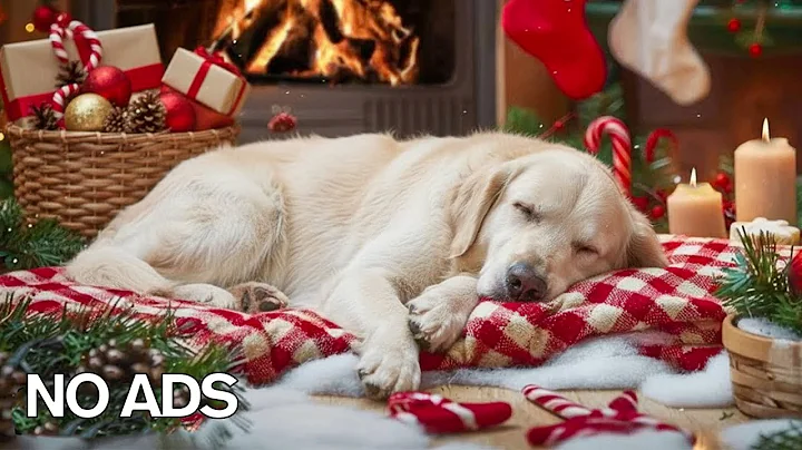 12 HOURS of Deep Separation Anxiety Music for Dog Relaxation! Helped 4 Million Dogs Worldwide! NEW!