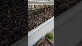 Are gutter guards worth it?