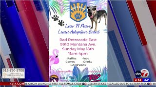 ABC-7 at 4: Laws N Paws to hold Luau adoption event