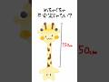 キリンについて話すどるぴん【#shorts 】