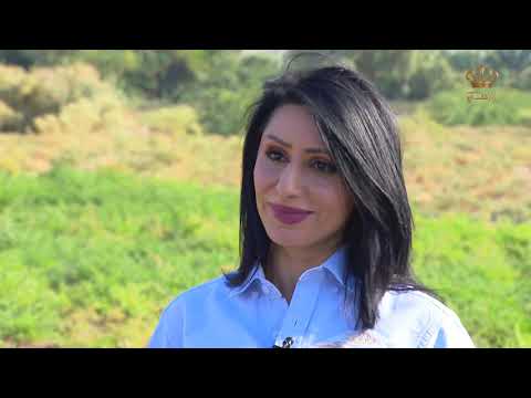 برنامج يسعد صباحك قصة نجاح سيدات غور الصافي في زراعة نبتة النيلة