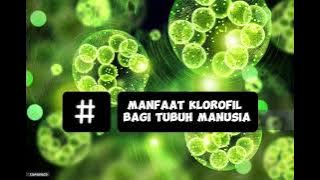 8 Manfaat Klorofil Bagi Tubuh Manusia