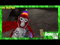 First video just watch and see