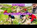 موسم گزاز الغنم بدوار اگريطات القرية تاونات و غياب العادات و التقاليد القديمة