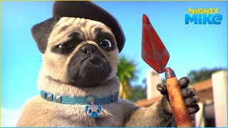 Download lagu Pug becomes an artist 🐶 Mighty Mike 🐶 45' Compilation 🐶 Cartoon for Kids