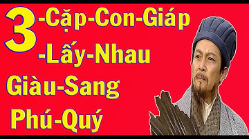 3 cặp con giáp mang  mệnh trời sinh nếu  Lấy nhau - ăn nên làm ra  sinh con phú Quý  Tử !!