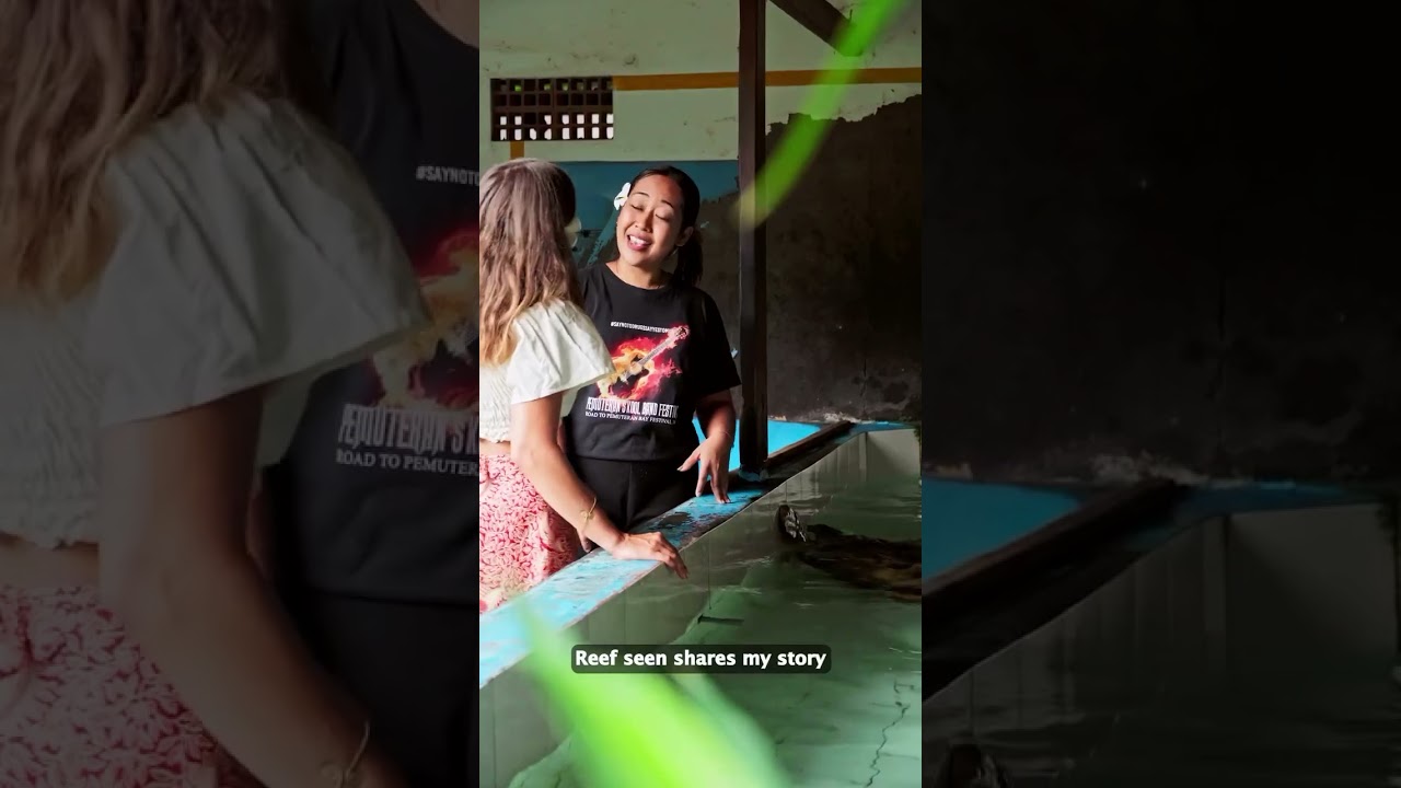 Or Ben Omri- Sound designer & Mix for Reef Seen Bali