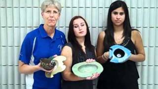 Empty Bowls Naples 2011 Invitation