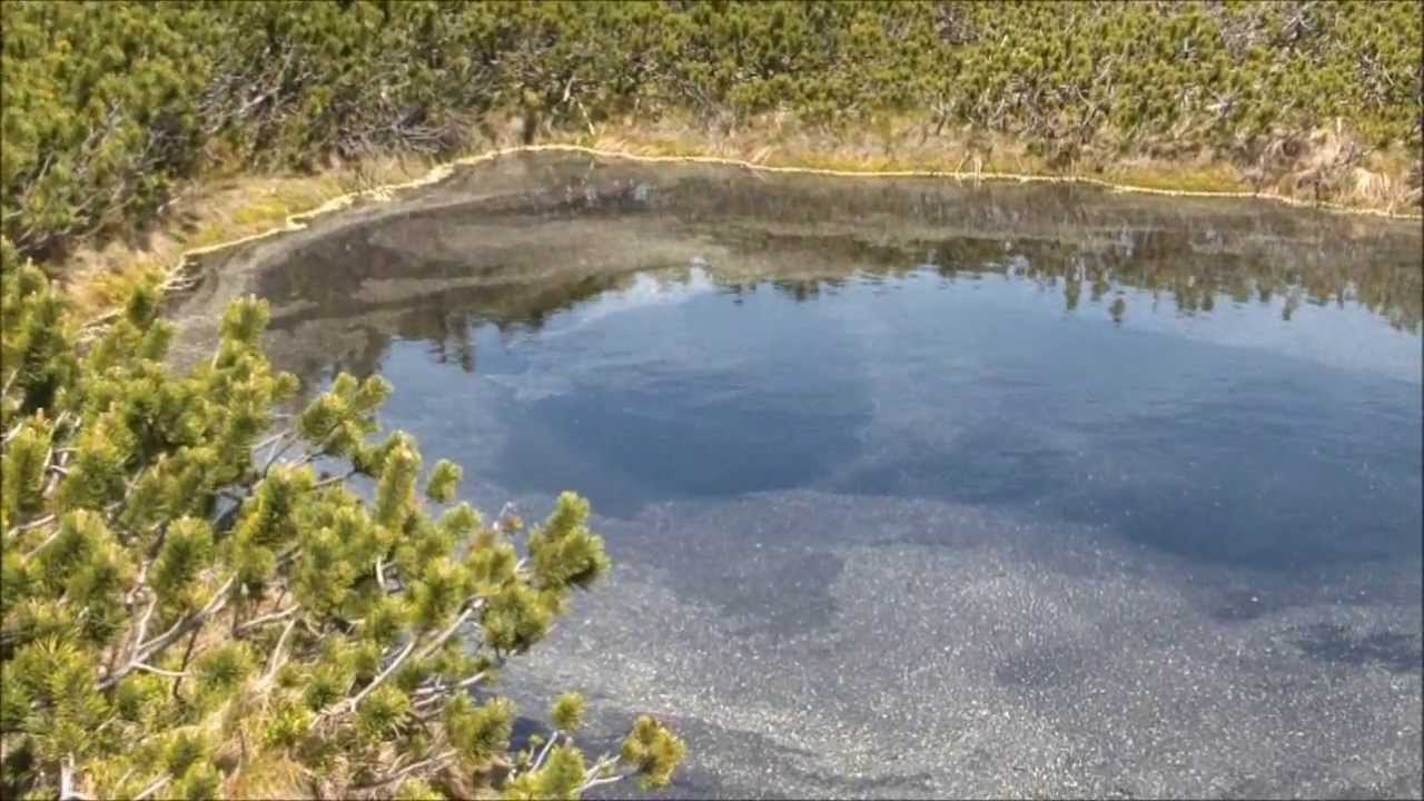 Ribnica na Pohorju-Lovrenška jezera