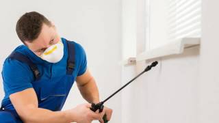 Exterminators | Severna Park, MD - Accutech Pest Management