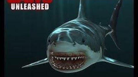 Jaws Unleashed Great White Shark Attack Killer Whale