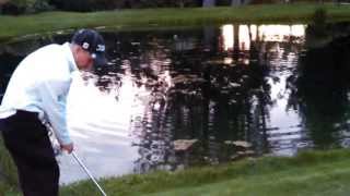 Rabbit Season? Duck Season.