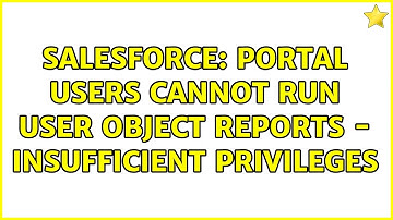 Salesforce: Portal users cannot run User object reports - insufficient privileges