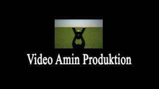 Video Amin - 3D Max U. After Effects