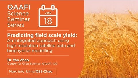 QAAFI Science Seminar | Predicting field scale yield