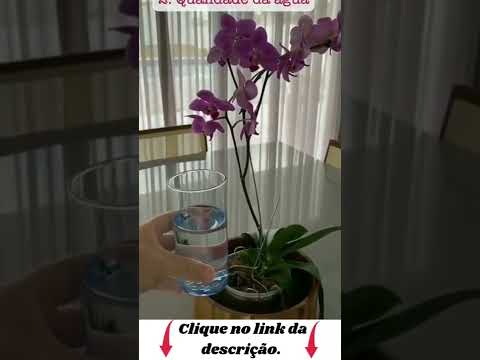 Vídeo: Como cuidar de orquídeas: 14 etapas (com fotos)