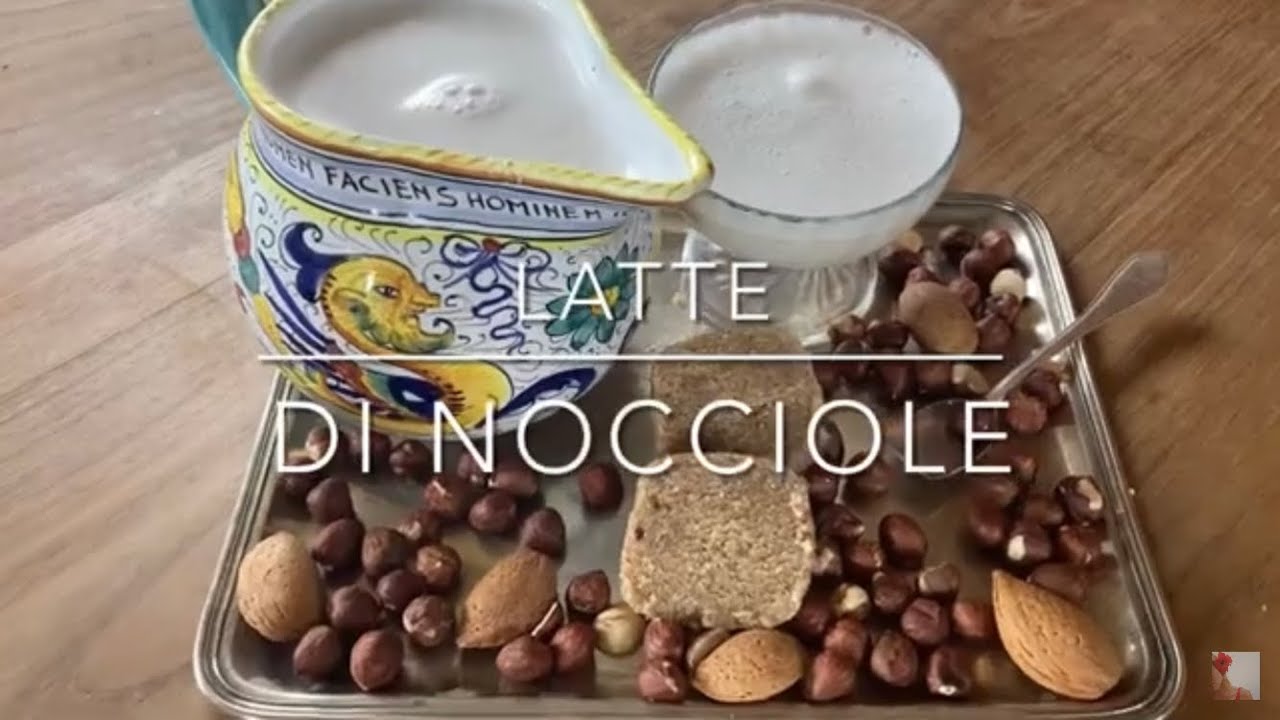 LATTE DI NOCCIOLE - latte VEG buonissimoo strafacile