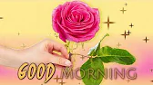 Greetings & Wishes International