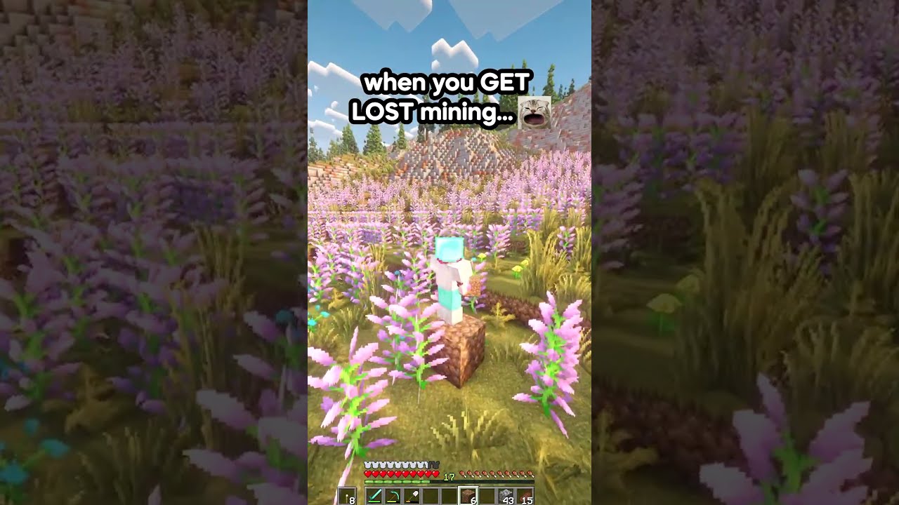 when you GET LOST mining...