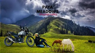 The Dangerous Journey To Seri Paya Meadows Extreme Off-Road Adventure Gsk Adventure