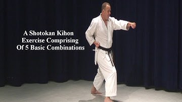 Shotokan Karate Video Kihon Spinning combination