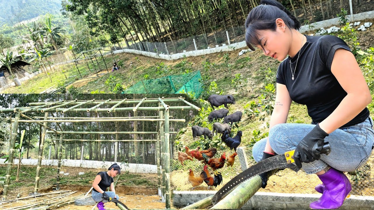 365 days the girl builds the farm,day 2+3+4 the girl builds a house on the farm.#farmlife #farm#gril