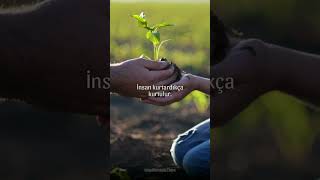 İnsan Kurtardıkça Kurtulur.