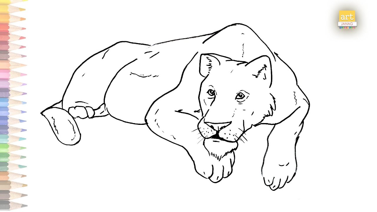 how to draw a female lion step by step