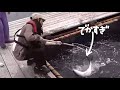 【女子のぼっち釣り】でっかいお魚捌いて晩酌【伊藤えま】